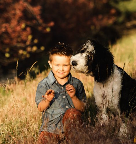 Boy and dog photo