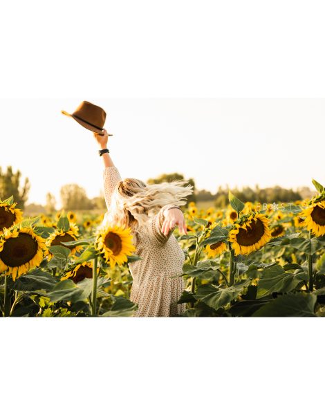 Senior girl sunflower field 2